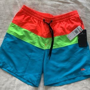 Quicksilver E Panel Volley 17”